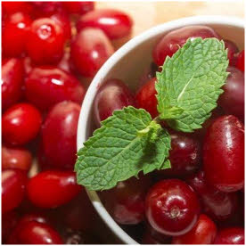 stranice za upoznavanje bez registracije