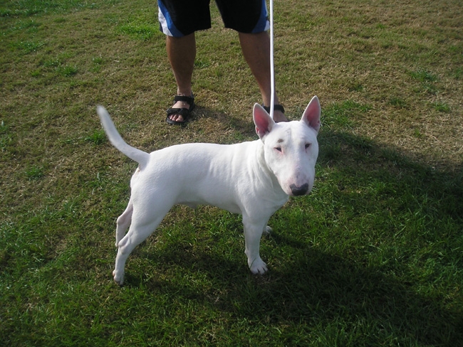 upoznavanje deckovih roditelja